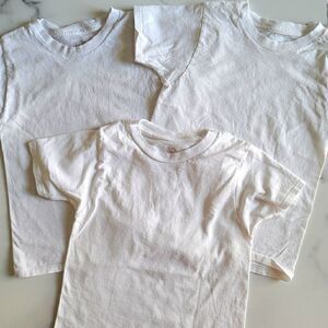 Fruit of the Loom basic white crew tee shirt bundl